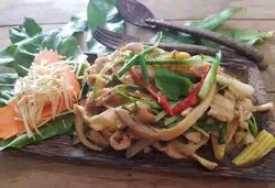 Stir Fried Chicken with Ginger